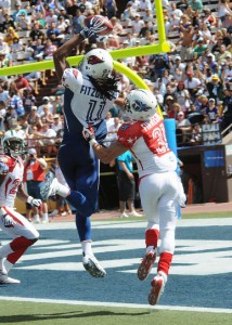 Larry_Fitzgerald_catches_TD_at_2009_Pro_Bowl